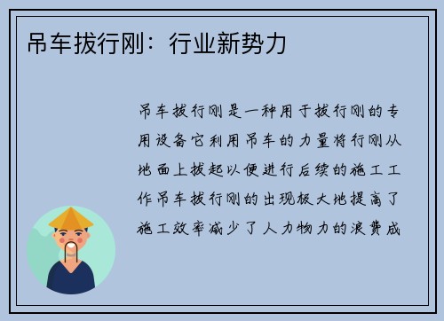 吊车拔行刚：行业新势力